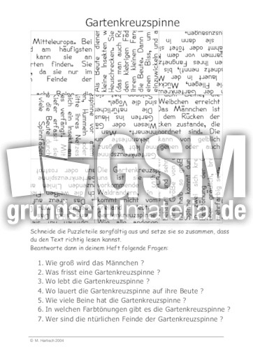 Gartenkreuzspinne.pdf